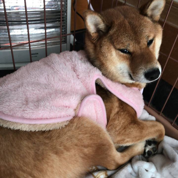 F8fb61ba 442b 4372 a859 dbe317eddfa1 1518219349232