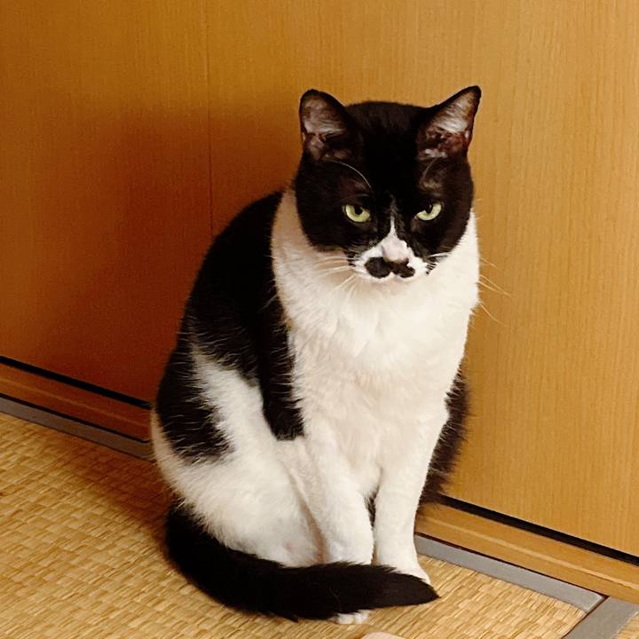 F8fb6659 d18d 4bd9 a7d4 6be787ae3b8f 1678366408496