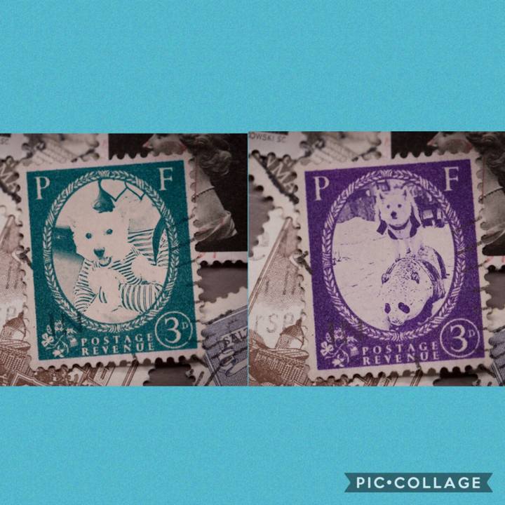 F8fb7540 3bf4 4440 864d 88fee02da32e 1570103965690