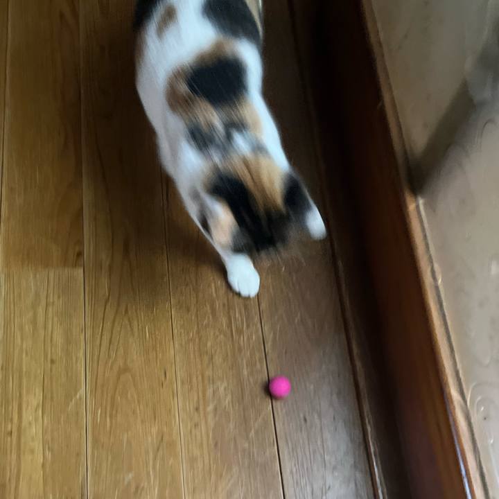 F8fb784a 39ac 4462 85c0 99646e8243d4 1766137793867