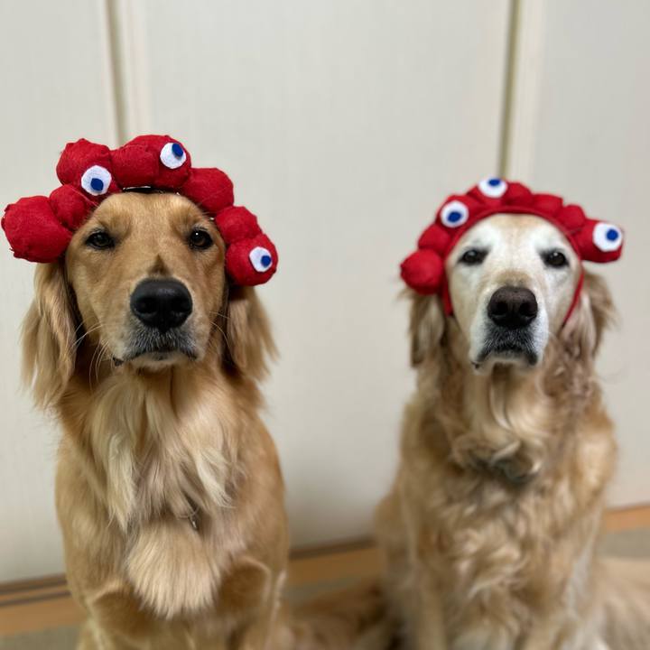 F8fb7959 4c67 4bab 9c79 6f4961c955b6 1752581462043