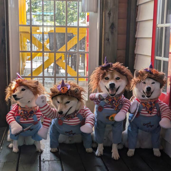 F8fb79c5 f3f2 4492 ab4c f8cbb89fb522 1728877996512