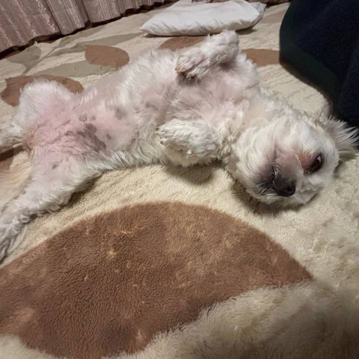 F8fb99f5 ddf4 4bac 8225 571372e28a8f 1760651325467