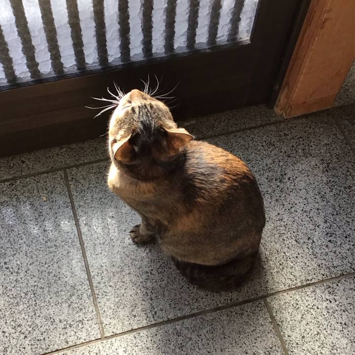 F8fbb218 99d5 4742 afd1 12dd98636d04 1735785761723