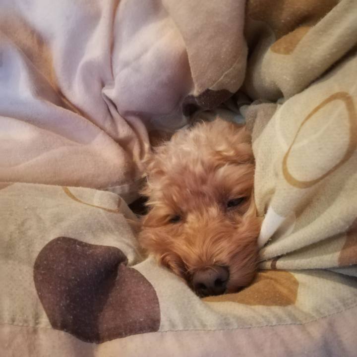 F8fbb3bd b042 4702 bd64 10effba91208 1542779571851