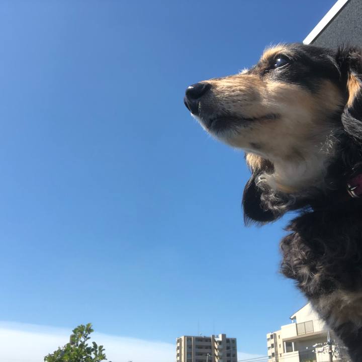 F8fbc4d9 9a3b 4ce6 b4eb 0c41d518c40b 1561421930932