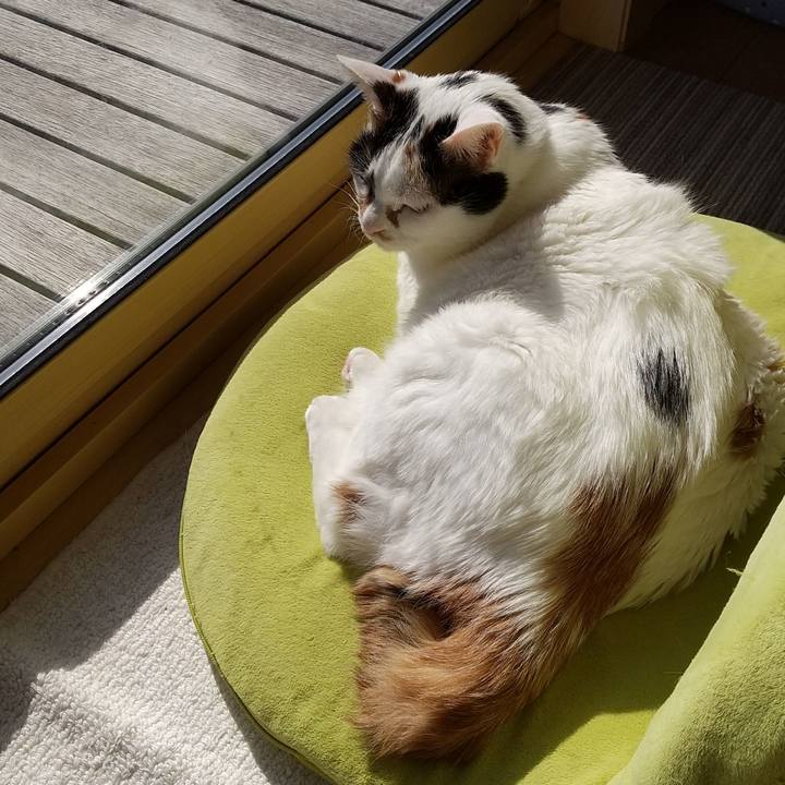 F8fbd3fa f612 413f 8ac5 12a622bdea13 1583556630356