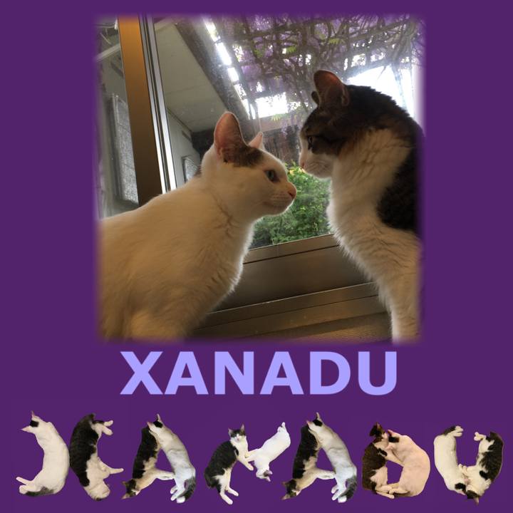 F8fbda27 abc8 4efc ae9e a0761c91ce0f 1666476871524