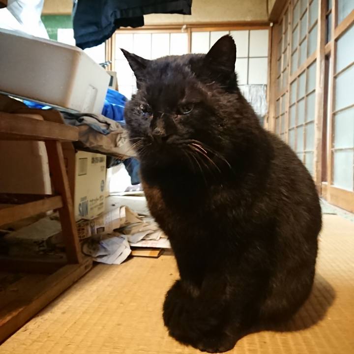 F8fbdae5 9357 4e6c 8dc2 03c9bf5894e3 1615200519768