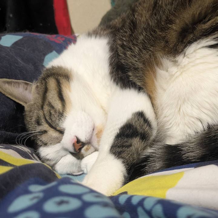 F8fbebf3 03a9 4762 8f73 1d78bee74acf 1740915444381