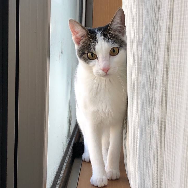 F8fc02e8 a438 4a8d 8465 cc3f90d64031 1576798687890