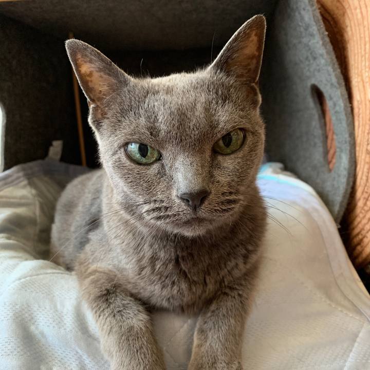 F8fc253d 325b 474e 937b d4ef7270da51 1564093804351