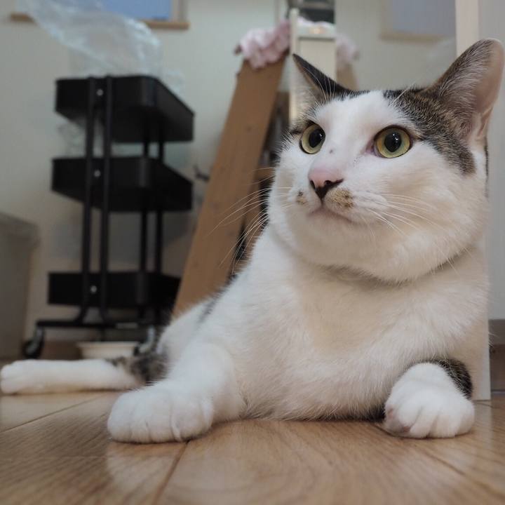 F8fc3de6 1691 4493 84b5 5de83a05e4a7 1541979017493