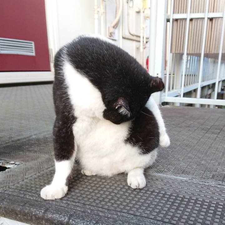 F8fcd096 240f 413a a119 4c6b496e9b7a 1598748174370