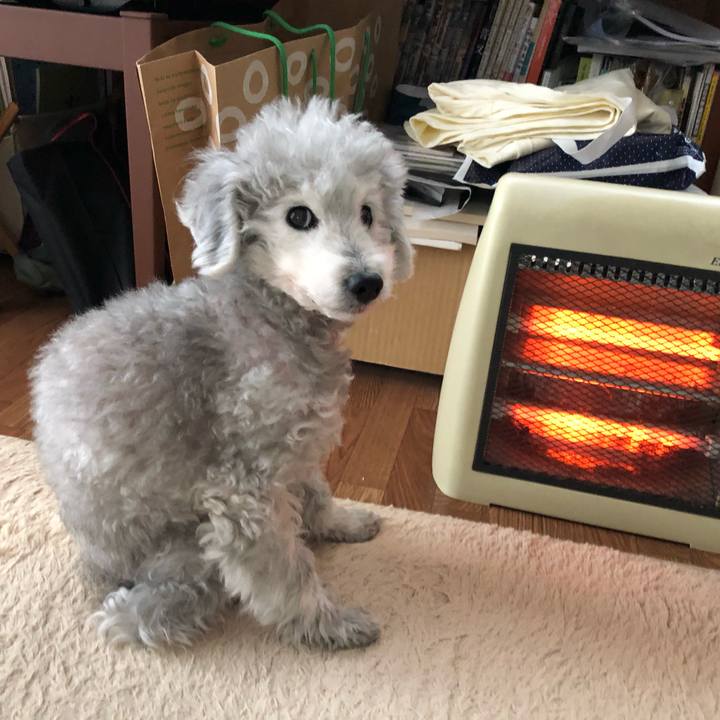 F8fcecbb 43b3 4271 9c65 2e8b8784f74d 1585451488384