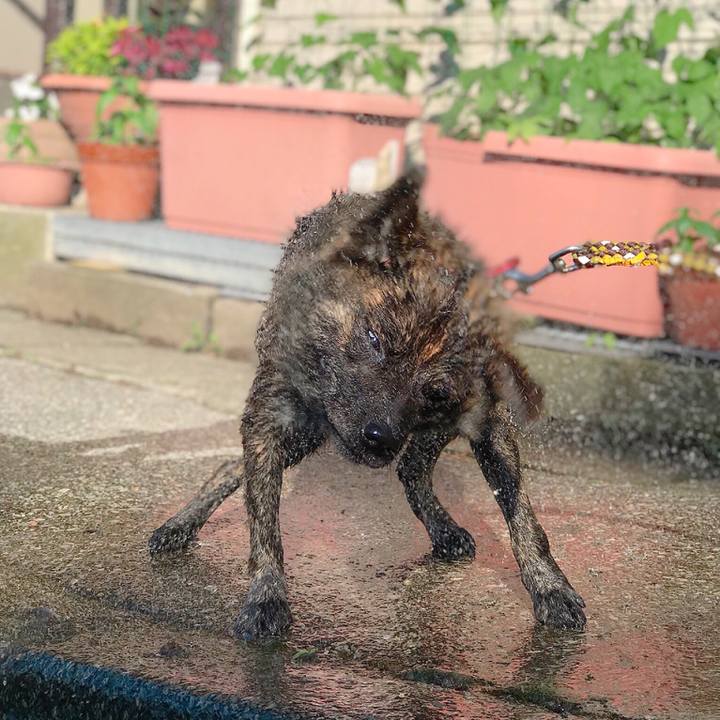 F8fcecf9 096d 41fa ac8e dc3dc452ed8c 1531045655483