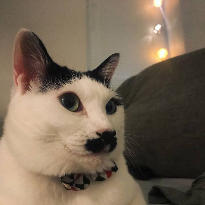 F8fcfbfc a922 483f 8282 4473bd61339f 1508237276084