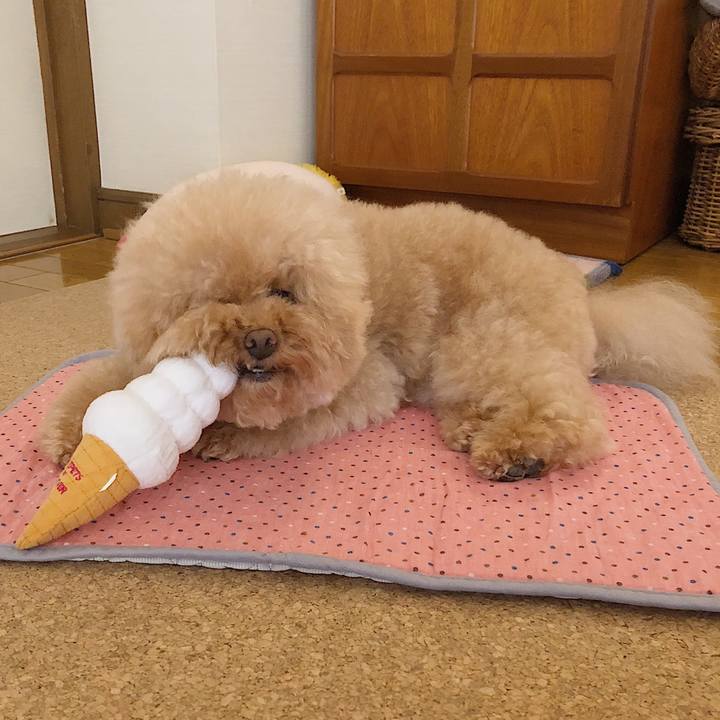 F8fd3a78 0779 4c12 a7f2 eb621a2d8c48 1532660345881