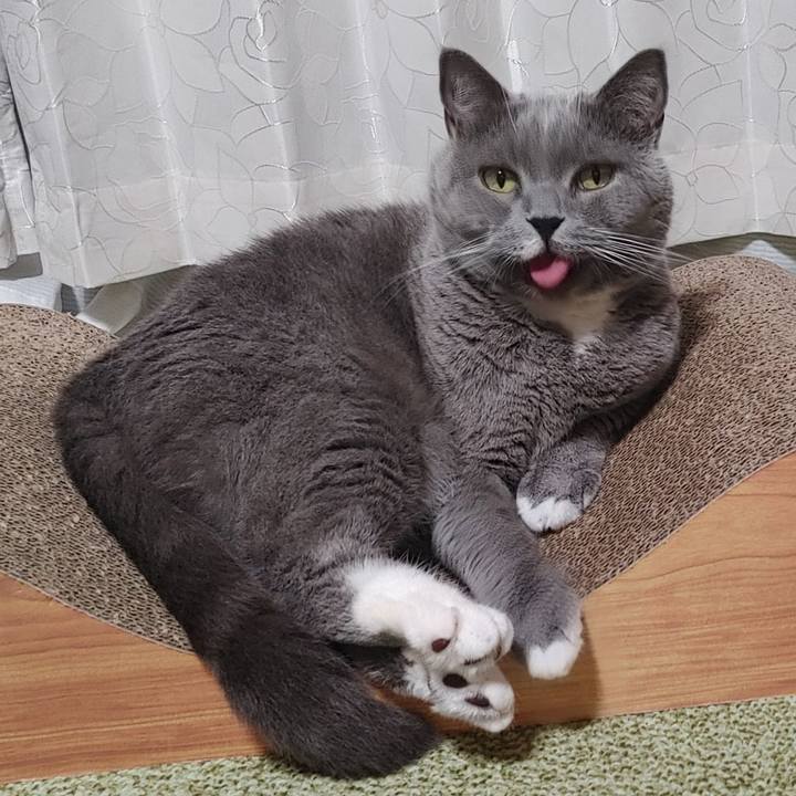 F8fd4d89 0a93 479f 875b e5c3821603ed 1634378182266