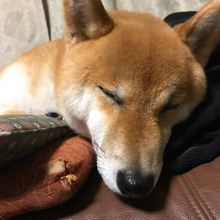 F8fd7057 1aff 410d ab3a 1f1e1fc7a08c 1529494057810