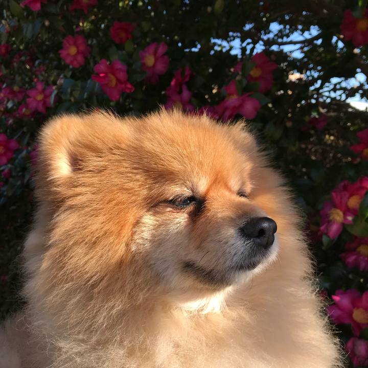 F8fd76e6 78c4 4f4a 9d94 50b7ad31050f 1512959346118