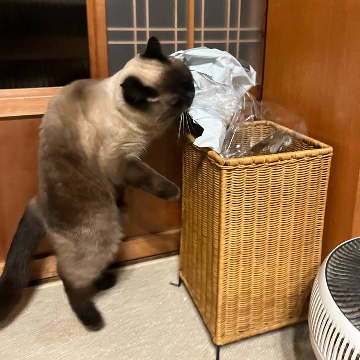 F8fd81a4 f38f 488a bde9 374da5440dfc 1673138586703