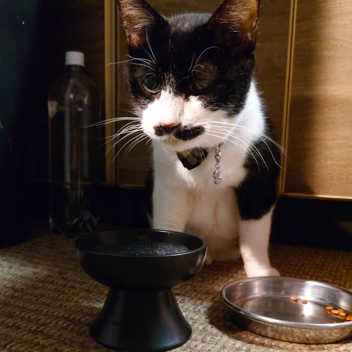 F8fd9590 790d 4ec6 9315 c1e0e6edc085 1759278339756