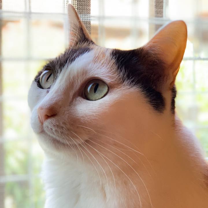 F8fdd1a1 9b23 4ab1 bce1 0779d41ff0fa 1589853588131