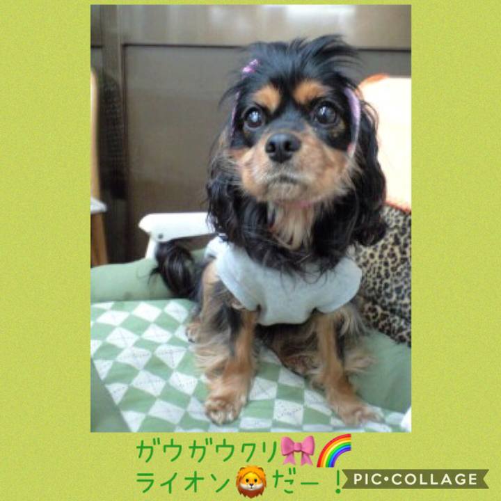 F8fde8f5 60cd 4d7f ab19 1aab1fcd063d 1548663437788