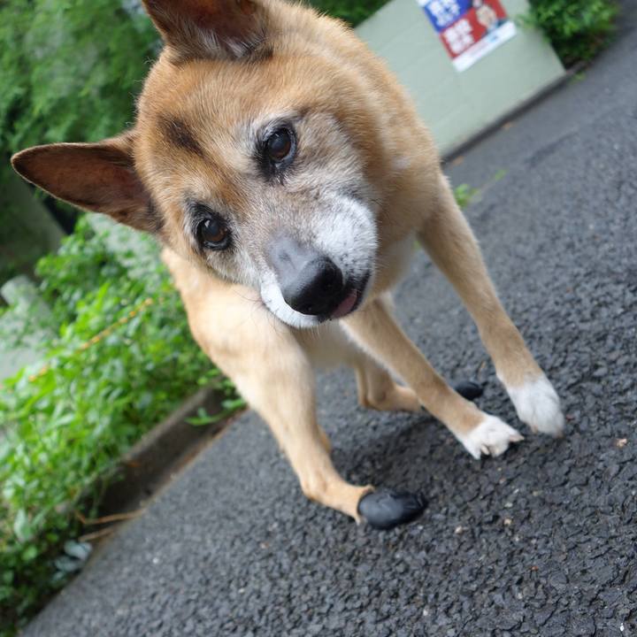 F8fe1204 0774 48d4 ae5c c6a1093eeb14 1562019606121