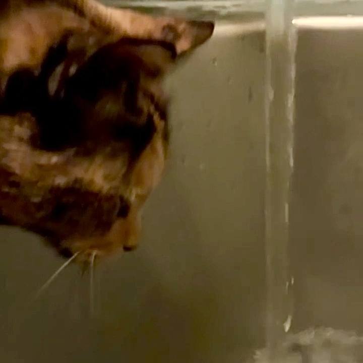 F8fe3fd6 0f1d 46e6 9648 93a9e471d8be 1762287141835