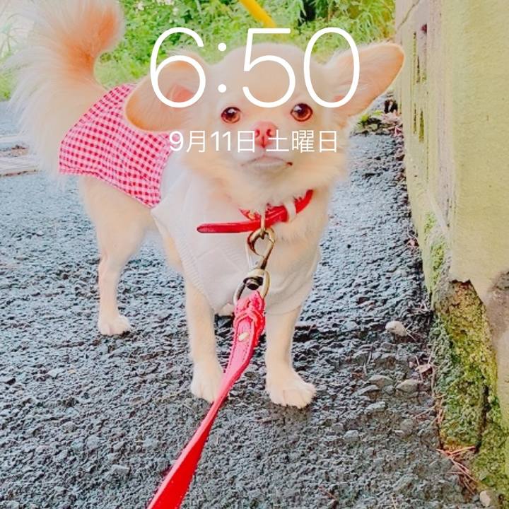 F8fe950f c715 48d6 ace6 698a1324ae85 1631332684921