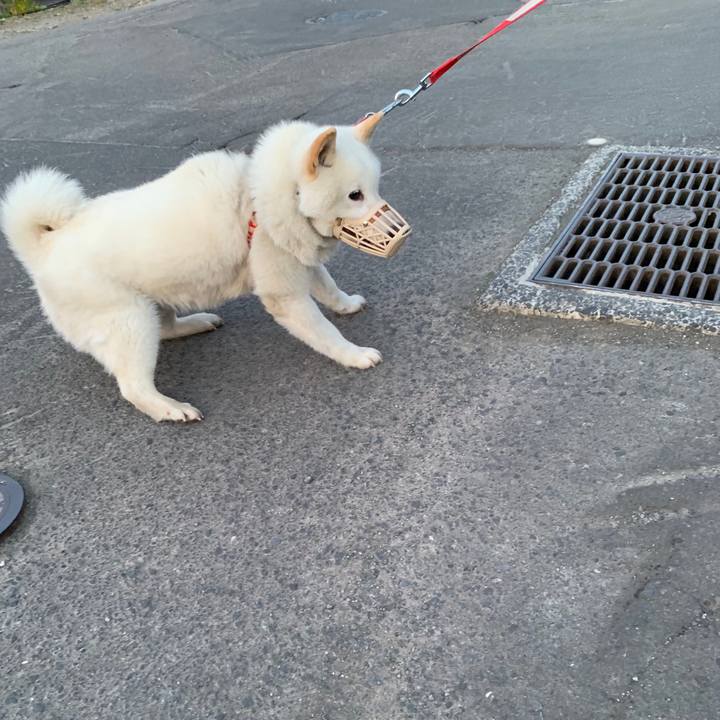 F8fee3e5 2b49 4cf8 8698 f21997a4f161 1557917244032