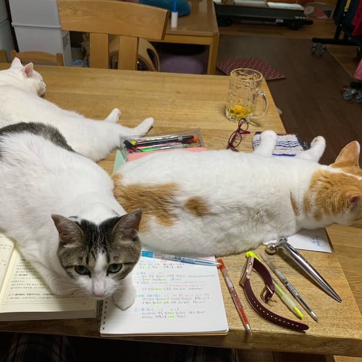 F8feeed5 a0a2 4aef 9e8c 5464aa8b8e80 1627591661550