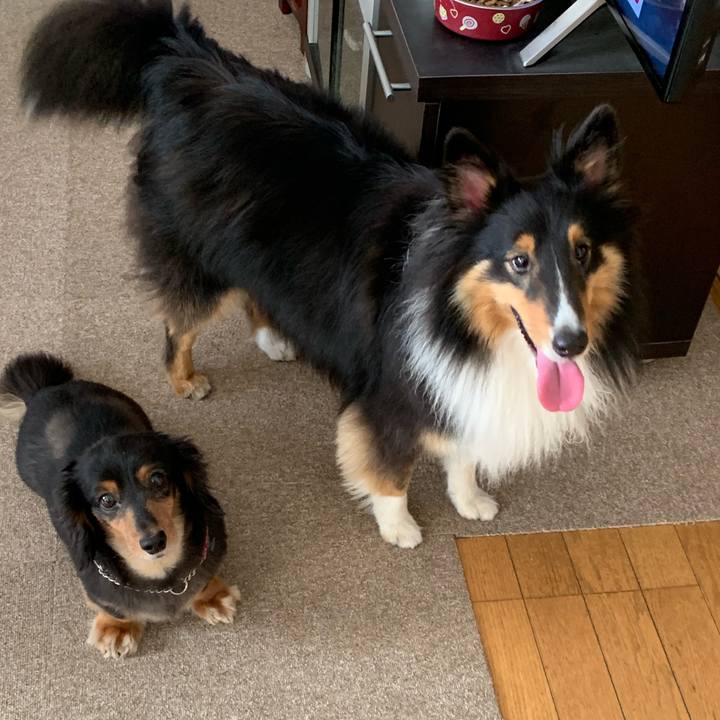 F8fef866 dace 482d 863e 0a4105d682c6 1564351779866