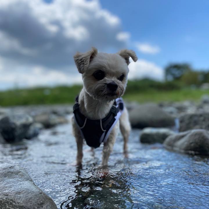 F8ff41ec 80a9 4777 b19e ce6c13338d9c 1599269745856