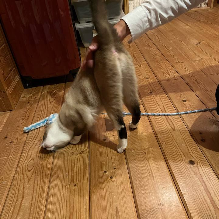 F8ff88fd 363a 4f02 8680 728fa069b21c 1731328354630