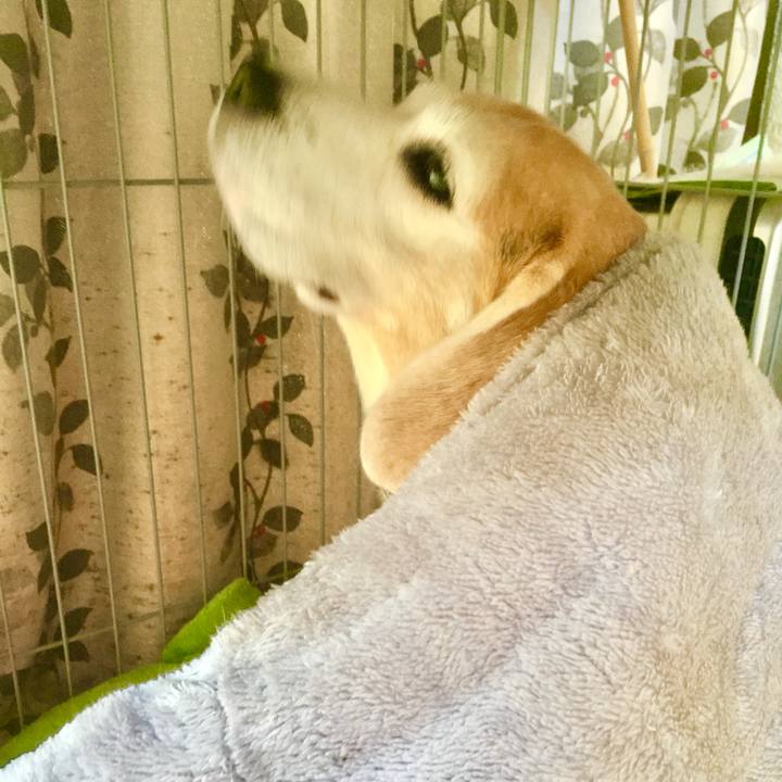 F8ff8aec f936 432e b810 24eefad63e18 1764050310002