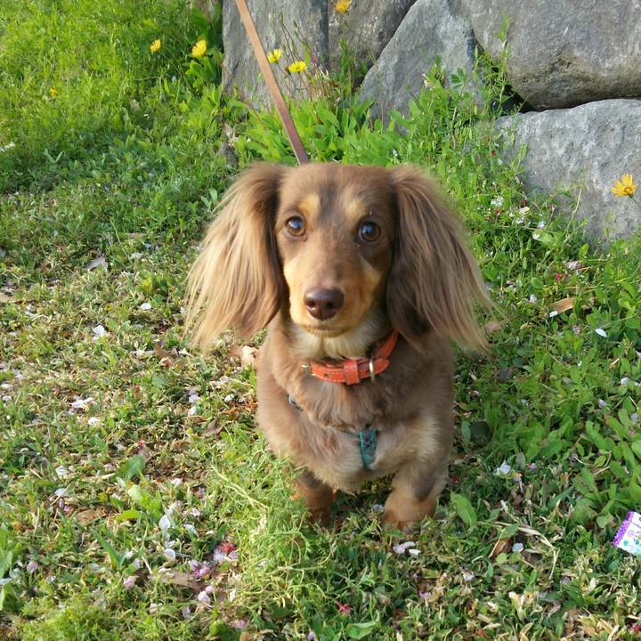 F8ff9d5a a1c3 4b4b 8d0e 6f4e0fd7e0e4 1523181318226