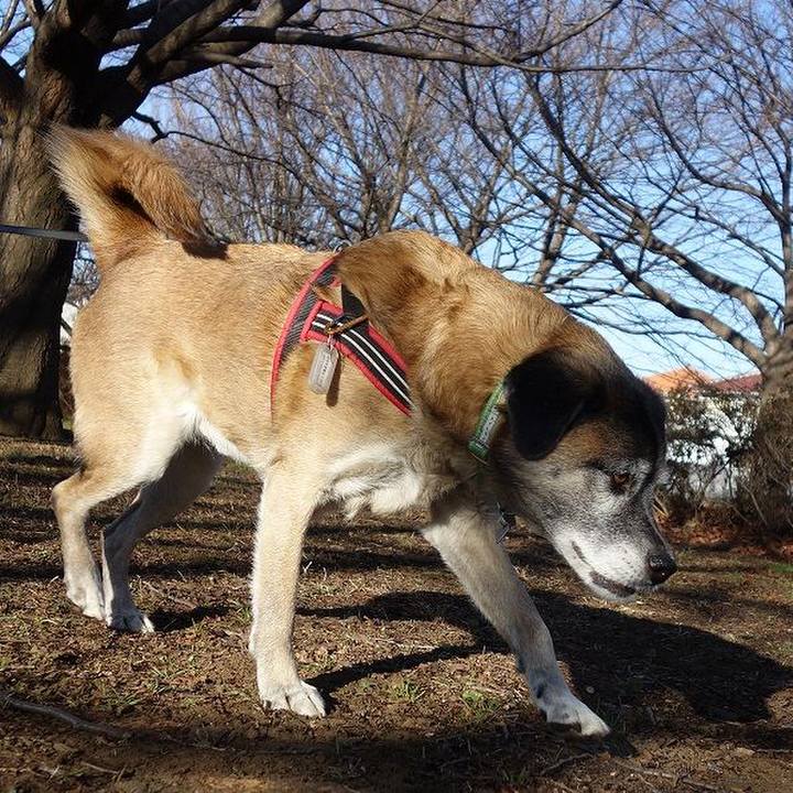 F8ffbb08 baeb 4e96 9de0 64f5a729312c 1515204281598