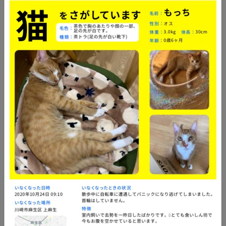 F8fff1e0 b165 455a 9c54 f9b3281b9ee7 1603601117362