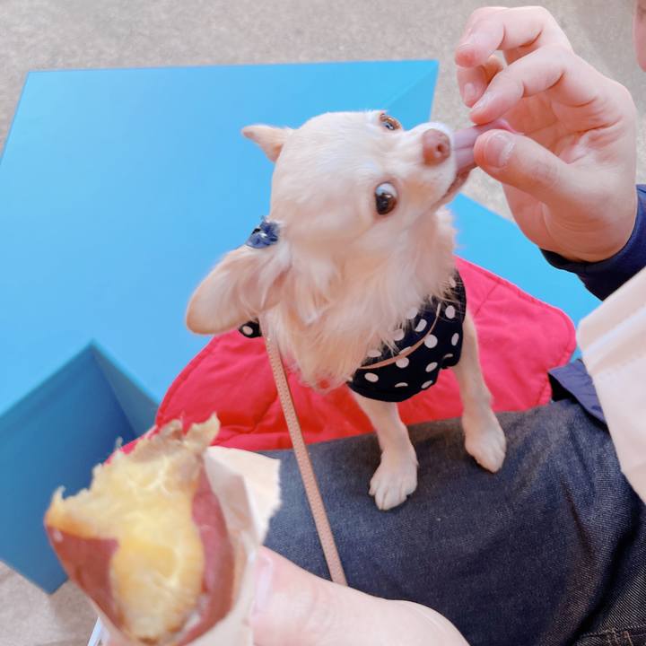 F9000c48 86c2 4d93 bd55 935604f2a7fa 1667479644046