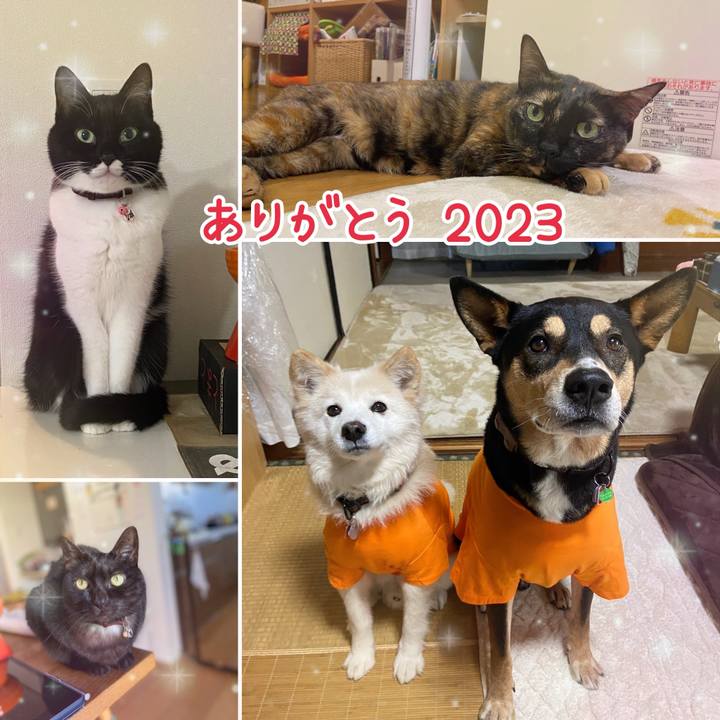 F9001993 f07e 4743 b649 c7f0f39bbb30 1704029736153