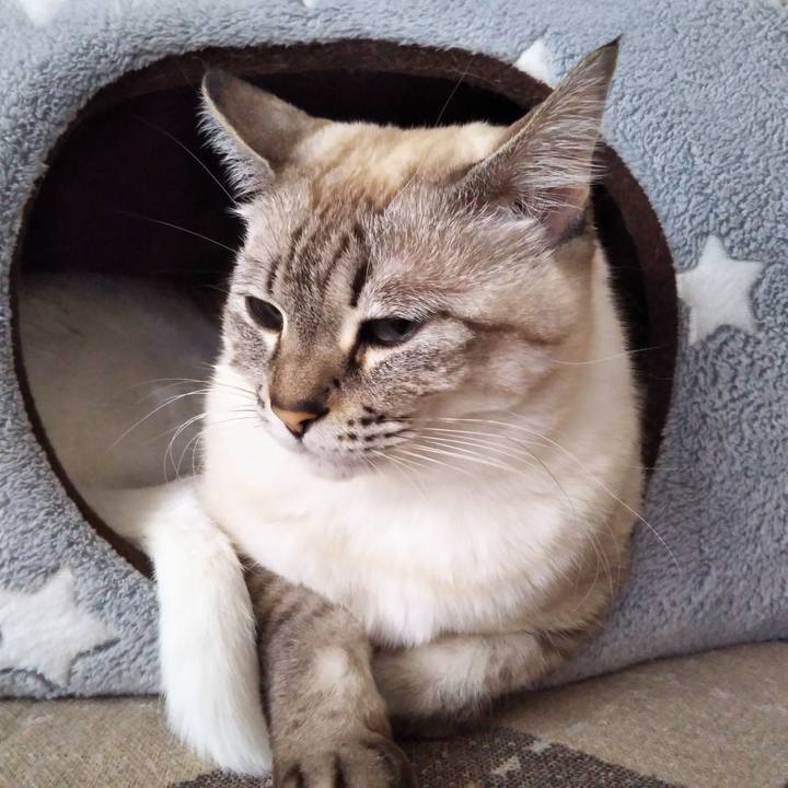 F9001e3c 9328 4c8a 93d9 d0594f35f0e5 1544500088176