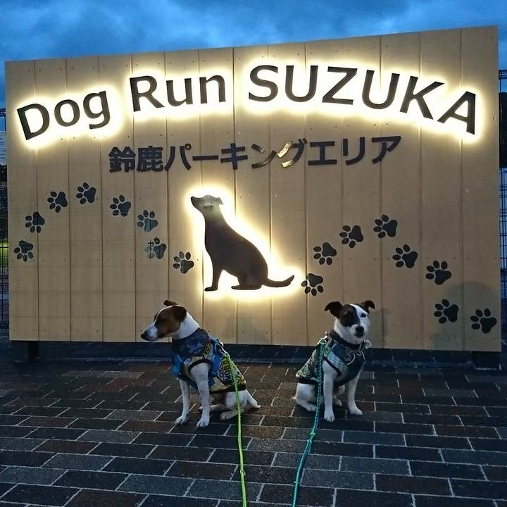 F9003493 c1e1 4e90 b5e2 aa4f710fa67c 1556617386802