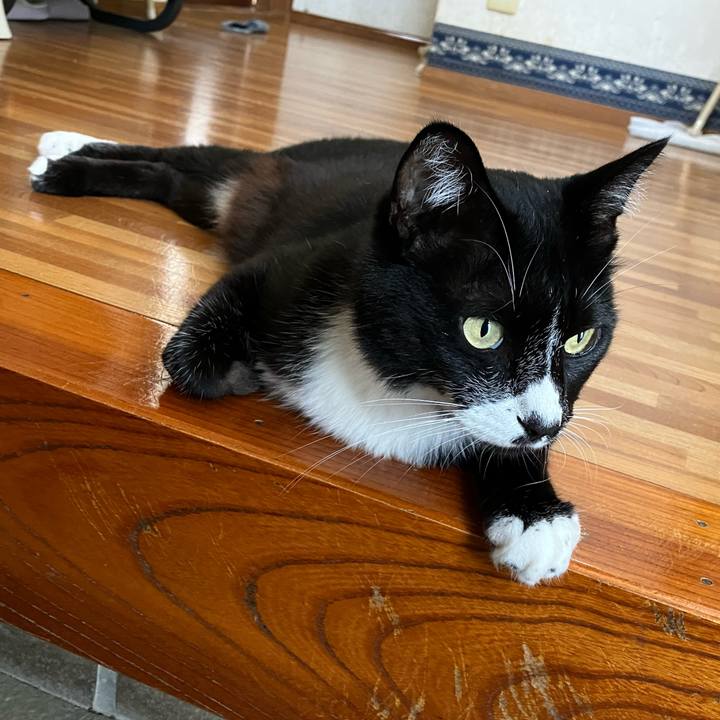 F9003833 c836 46bb 8384 544b56b2e91d 1692934498484