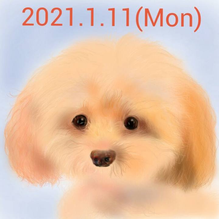 F9004f11 9b6c 46a7 9939 913339f932c8 1610343991905