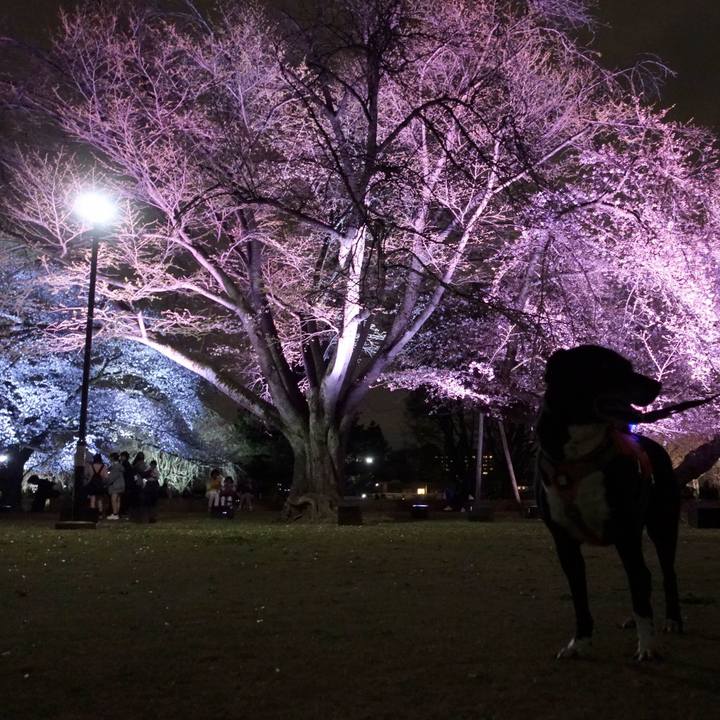 F9005e80 bcee 4260 b771 a3033037c233 1743173813438