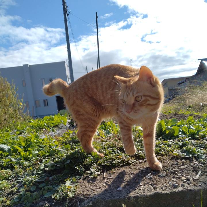 F900d2de b148 4e46 be41 d70028568f84 1667103969438