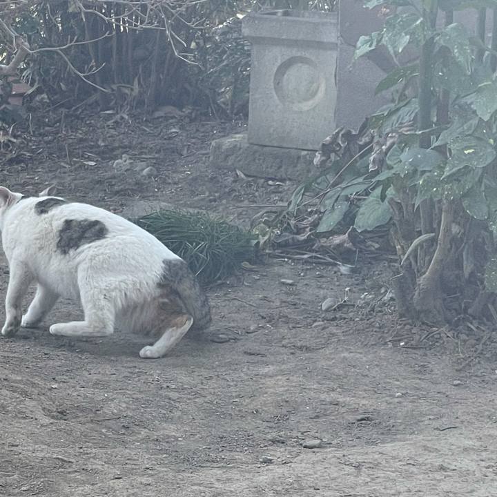 F900d3be 23eb 4e22 8ef6 73a50d91e246 1647261658131